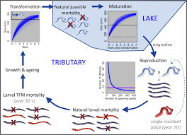 1981 under the auspices of the federal working group on pest management and its monitoring panel. Rapid Resistance To Pesticide Control Is Predicted To Evolve In An Invasive Fish Scientific Reports