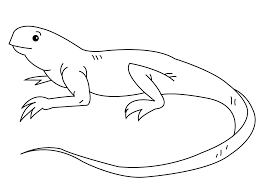 Cute orange iguana sits on the tree branch and smiles. Free Printable Iguana Coloring Pages For Kids