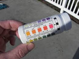 Pool Water Maintenance Tips To Optimize The Ph And Chlorine Level Pool Water Water Green Pool Water