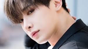 This account is dedicated to boost. Petition Reinstate Wonho In Monsta X Change Org