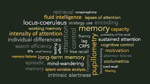 Publications — MAID Lab