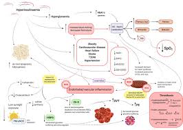 The last camel is a collection of stories about the people who live in a little village in northern somalia. Relationships Between Hyperinsulinaemia Magnesium Vitamin D Thrombosis And Covid 19 Rationale For Clinical Management Open Heart