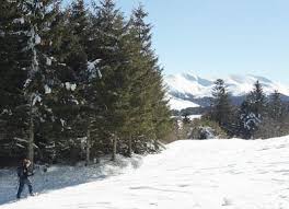 • observations météo europe  participer . Randonnee Raquettes Dans Le Sud Du Sancy Sejour Bien Etre A Besse