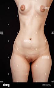 the naked body of a young 20-year-old girl with small breasts,large nipples  and wide hips. on an isolated background Stock Photo - Alamy