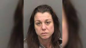 Seffner woman faces child neglect charges after children found wandering