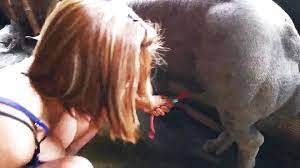 Brazilian Bestiality Videos - All Bestiality in one place