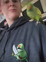 I have worn this hoodie every playoff game without washing it 🤣 (it does  not stink it smells like cologne ) I know we are all superstitious lol What  is your superstition/ritual? ￼￼