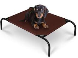 Cozy pet bed ideale per il riposo di cani e gatti. Le Migliori Brandine Per Cani 2020 Pinodog