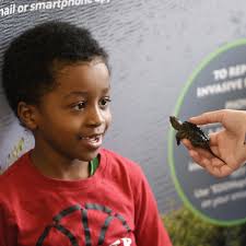 Clarington's Wild Ontario exhibit wrapping up wildly successful educational  program