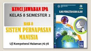 Jawaban esai uji kompetensi bab 3 halaman 191 ips kelas 8. Kunci Jawaban Ipa Kelas 8 Bab 8 Sistem Pernafasan Manusia Youtube