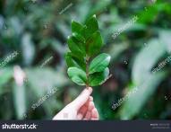 Działalność rolnicza - na czym właściwie polega?