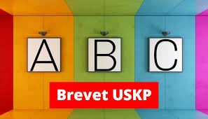 We did not find results for: Brevet Uskp New York Tax Consulting