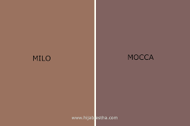 Perbedaan warna khaki dan chinos. 60 Warna Mocca Muda
