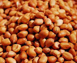 Peanut Making Business: BusinessHAB.com