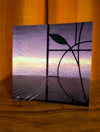 duanemayhew's collection