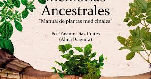 Download el libro de las sombras. Libros Para Descargar Manual Diaguita De Plantas Medicinales V3 Pdf