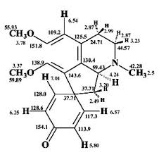 Image result for Antizoma angustifolia