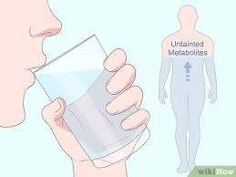 Check spelling or type a new query. 3 Ways To Pass A Urine Drug Test Wikihow