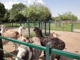 Gertrudenhof Hurth Tierparks Rhein Erft Ausflugsziele Nrw Streichelzoo Tierpark Nrw Tierpark