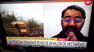 QUIRQUINCHO, MATACO BOLA, TATÚ BOLITA O ARMADILLO DE TRES BANDAS  (Tolypeutes matacus) 🔊🌐Respetemos, cuidemos y valoremos nuestra #Fauna.  Cada #especie cumple un rol fundamental en el #Ecosistema 🌎🦔🦎 ✓Es una de  sólo