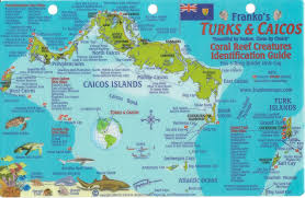 Tourism is the main driver of the national economy in the turks and caicos islands, accounting for 42.8% of the national gdp in 2013. Turks Caicos Dive Map Reef Creatures Guide Franko Maps Laminated Fish Card Franko Maps Ltd 9781601903402 Amazon Com Books