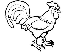 Maybe you would like to learn more about one of these? Year Of The Rooster Coloring Pages Coloring Home