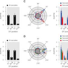 Image result for Ceropegia stenantha