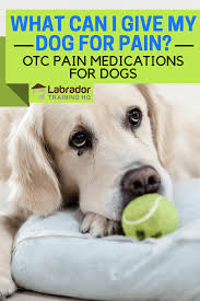 What Can I Give My Dog For Pain Otc Pain Medications For
