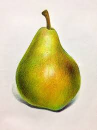 680 x 907 jpeg 31 кб. 53 Ideas For Fruit Drawing Pencil Color Color Pencil Drawing Fruits Drawing Color Pencil Art