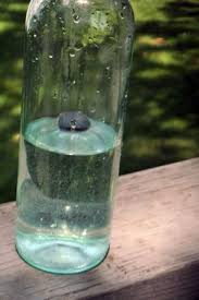 How To Keep Flies Off The Table I Will Be Trying This With Images Picnic Table Household Hacks Keep Flies Away