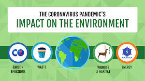 (2) in dos systems, the environment is an area in memory that the operating system and other programs use to store various types of miscellaneous information. Coronavirus S Impact On The Environment Infographic Venngage