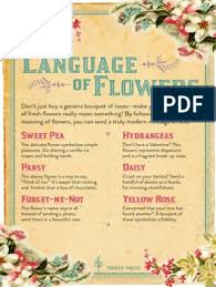 Check spelling or type a new query. The Language Of Flowers Pdf