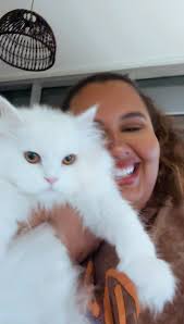 كسرتيلي باب السيارة في دابوق