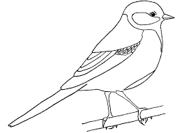 Lukisan burung ini cukup digemari oleh banyak kalangan untuk dijadikan hiasan dinding. Bagaimana Untuk Menggambar