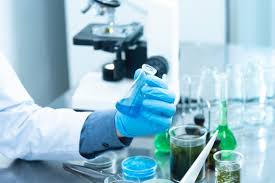 Here are ten science quiz questions all relating to biology… Biology Trivia 35 Must Know Facts For Budding Scientists