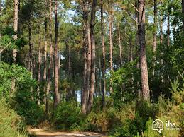 Vos vacances sur la côte sud des landes près du pays basque. Vermietung Landes De Gascogne Fur Ihren Urlaub Mit Iha Privat
