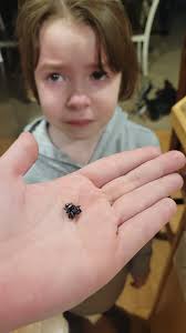 Quick snap of our bridge last night coming home.