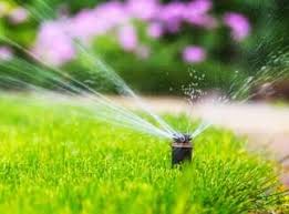 Lawn watering with oscillating sprinkler. Proper Watering Of Your Lawn