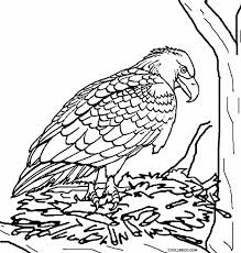 American eagle coloring page from bald eagle category. Printable Eagle Coloring Pages For Kids