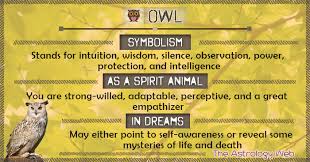Owl Meaning And Symbolism The Astrology Web
