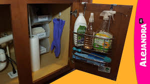 how to organize under the kitchen sink