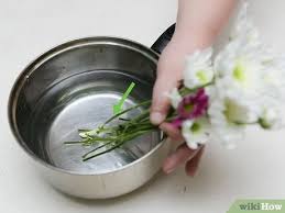 Feb 24, 2020 · this will open up the flower's water uptake channels, so they stay fresh and don't wilt or go into shock. How To Make Flower Food With Pictures Wikihow
