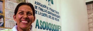 El futuro de la Asociación y su sostenibilidad