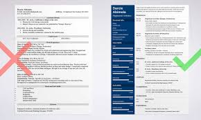the architecture resume that gets you