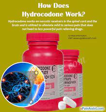 In the blood, hydrocodone is present at its highest level in about 1.3 hours and is detectable for up to 24 hours after intake. How Does Hydrocodone Work Know Its Effectiveness Side Effects Dosage