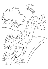 Cheetah cub coloring pages queenandfatchef com. Parentune Free Printable Cheetah Cub Coloring Picture Assignment Sheets Pictures For Child
