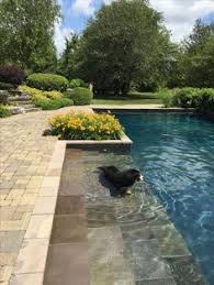 500 Swimming Pools Ideas Swimming Pools Pool Designs Cool Pools
