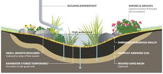 A patio, the rockery, the water fountain, some lawns plus some plants. A Complete Guide To Building And Maintaining A Rain Garden Trca