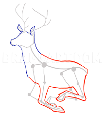 Male deer of all species and female reindeer grow and shed new antlers each year, thereby differing from such permanently horned animals as antelope create its ears. How To Draw Deer Drawing Deer Step By Step Drawing Guide By Mauacheron Dragoart Com