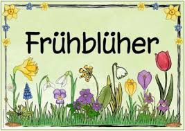 Ideenreise Themenplakat Fruhbluher Fruhbluher Ideenreise Plakat Themenplakat Kindergarten Portfolio Spring Preschool Kindergarden
